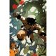 Fire And Ice Darkwolf #1 Cover J 1:10 Cary Nord Virgin Variant
