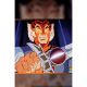 Thundercats X Silverhawks Thunderhawks #4 Cover F 1:10 Animation Art Virgin Variant