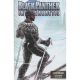 Black Panther Intergalactic #1 Luciano Vecchio Winter Break Variant