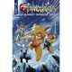 Thundercats Ho!(Liday) Special 2025 #1 Cover C Robert Quinn Variant