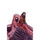 No Gods No Masters #4 Cover D Unlimited Full Art Salcedo