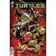 Teenage Mutant Ninja Turtles #25 Cover B Godtail Cover Set