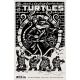 Teenage Mutant Ninja Turtles #25 Cover F Attack Peter