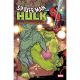 Spider-Man Hulk Fire And Brimstone #5