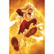 Fury Of Firestorm #9 Cover B Mitch Gerads Card Stock Variant