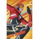 Absolute Flash #22 Cover D Aka Card Stock Variant