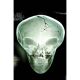 X Files #1 Cover G Roswell Photo Foil Variant