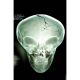 X Files #1 Cover H Roswell Photo Foil Virgin Variant