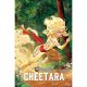 Thundercats Cheetara #5 Cover D Galmon