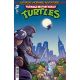 Teenage Mutant Ninja Turtles Saturday Morning Adventures #31 Cover B Chiola