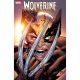 Wolverine #29 Greg Land 1:25 Variant