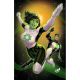 Green Lantern #41 Cover B David Nakayama Card Stock Variant
