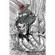 Thundercats #1 Cover R 1:5 Seth Damoose Line Art Virgin Variant