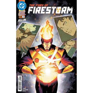 Fury Of Firestorm #1
