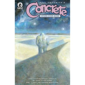 Concrete Stars Over Sand #1