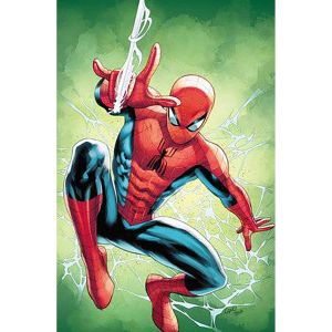 Amazing Spider-Man #1 1:100 Greg Land Virgin Variant