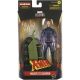 Marvel Legends X-Men Darwin Action Figure