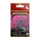 Warhammer Age of Sigmar Disciples of Tzeentch: Fatemaster