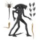 Alien Romulus Ult Xenomorph Xx121 7In Figure