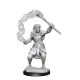 D&D Mini's: Firbolg Female Druid