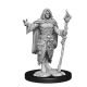 D&D Mini's: Human Male Barbarian