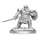 D&D Nolzurs Marvelous Minis Dwarf Fighter Female Figure