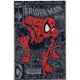 Spider-Man #1 Silver Edition
