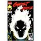 Ghost Rider #15 Glow In The Dark Cover