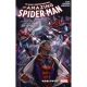 Amazing Spider-Man Worldwide Vol 2