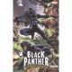 Black Panther Panthers Quest