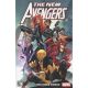 New Avengers Vol 2 The Other Woman
