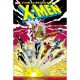 Uncanny X-Men Omnibus Vol 6