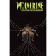 Wolverine Weapons Of Armageddon