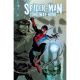 Spider-Man Long Way Home