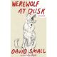 Werewolf At Dusk & Other Stories