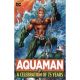 Aquaman A Celebration Of 75 Years