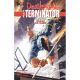 Deathstroke The Terminator Vol 4 Crash Or Burn
