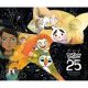 Art Of Cartoon Saloon 25 Years