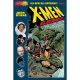 X-Men Elsewhen Vol 1