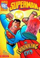 DC Super Heroes Superman Shrinking City