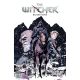 Witcher Volume 11 Blood Stone