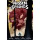 Hidden Springs