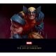 Marvel Collecting The Universe