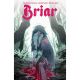 Briar Vol 1