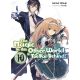 Magic In Other World Too Far Behind Light Novel Vol 10