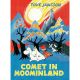 Comet In Moominland