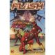 Flash (Rebirth) Vol 18 The Search For Barry Allen