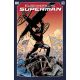 Elseworlds Superman Vol 1