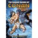 Savage Sword Of Conan The Original Comics Omnibus Vol 10 Direct Market