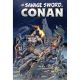 Savage Sword Of Conan The Original Comics Omnibus Vol 12 Earl Norem Direct Market Edition Cover